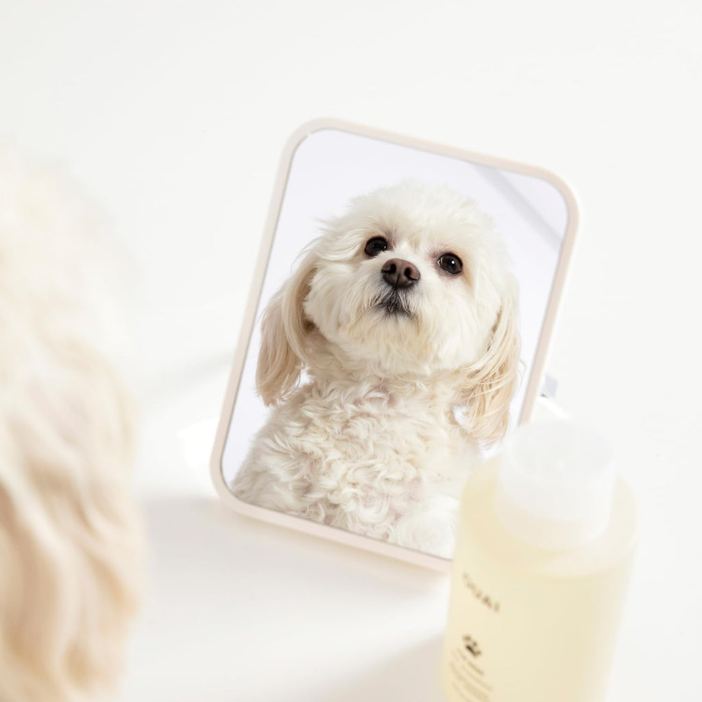 Pet Shampoo 16 Fl oz F651651