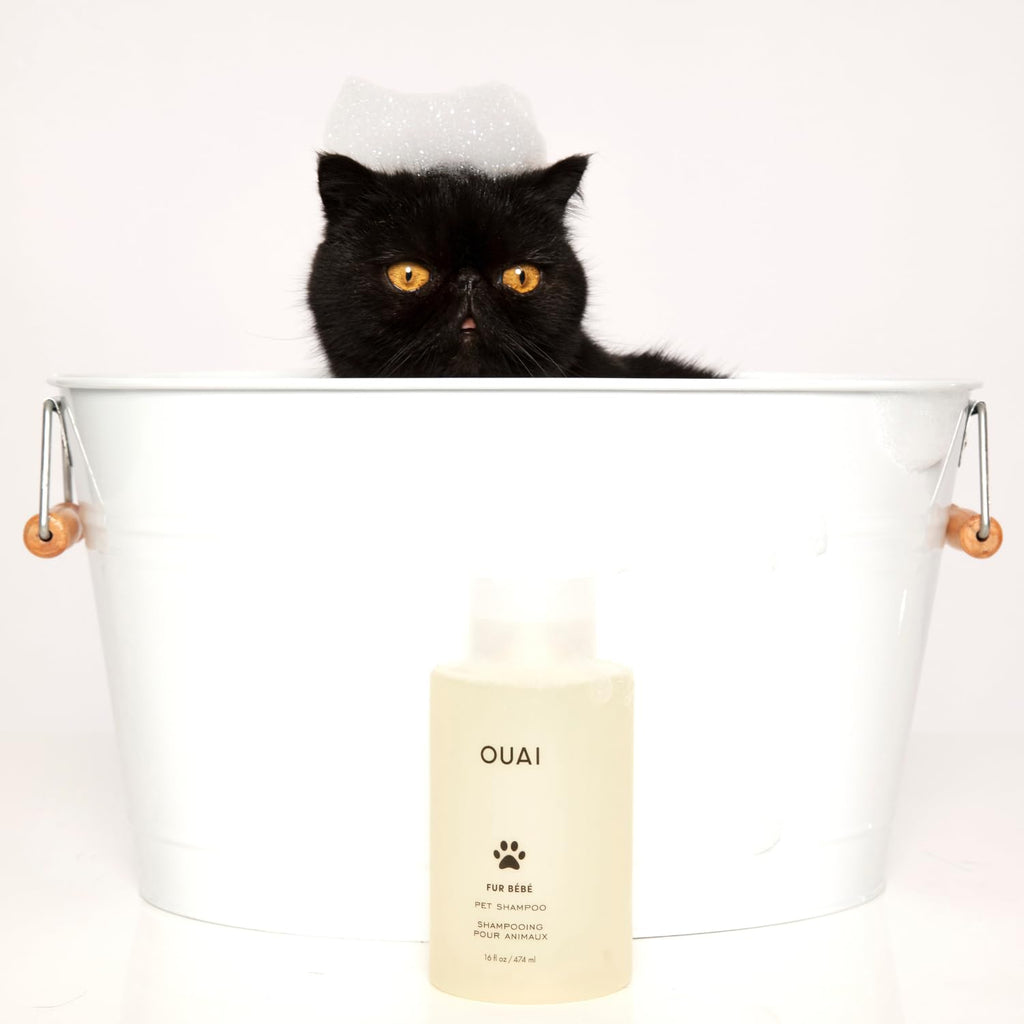 Pet Shampoo 16 Fl oz F651651