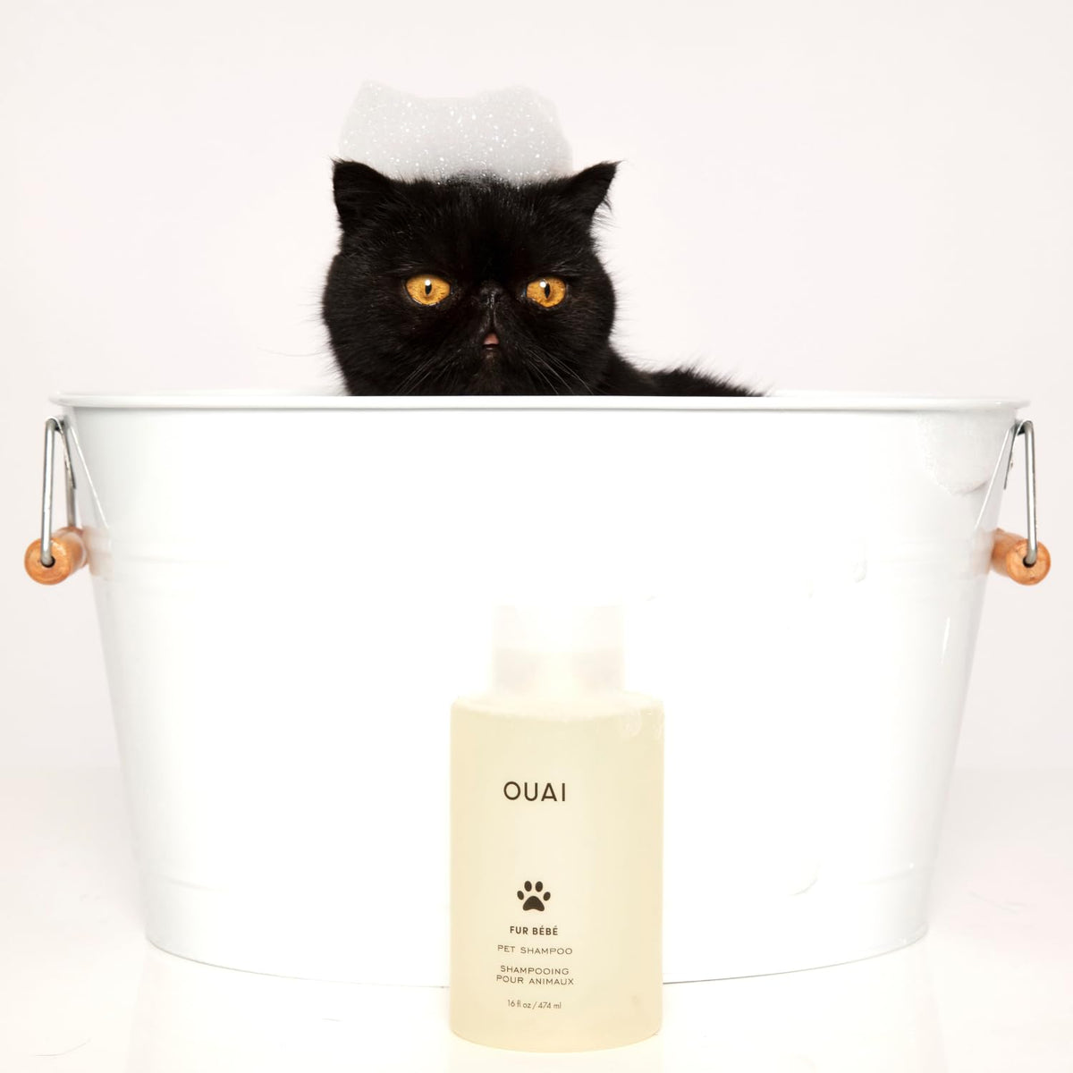 Pet Shampoo 16 Fl oz F651651