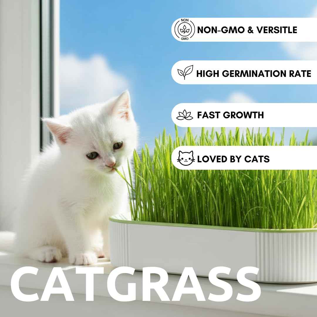 Hydroponic Cat Grass Grow Kit with 2 Oz Non-GMO Seeds C676