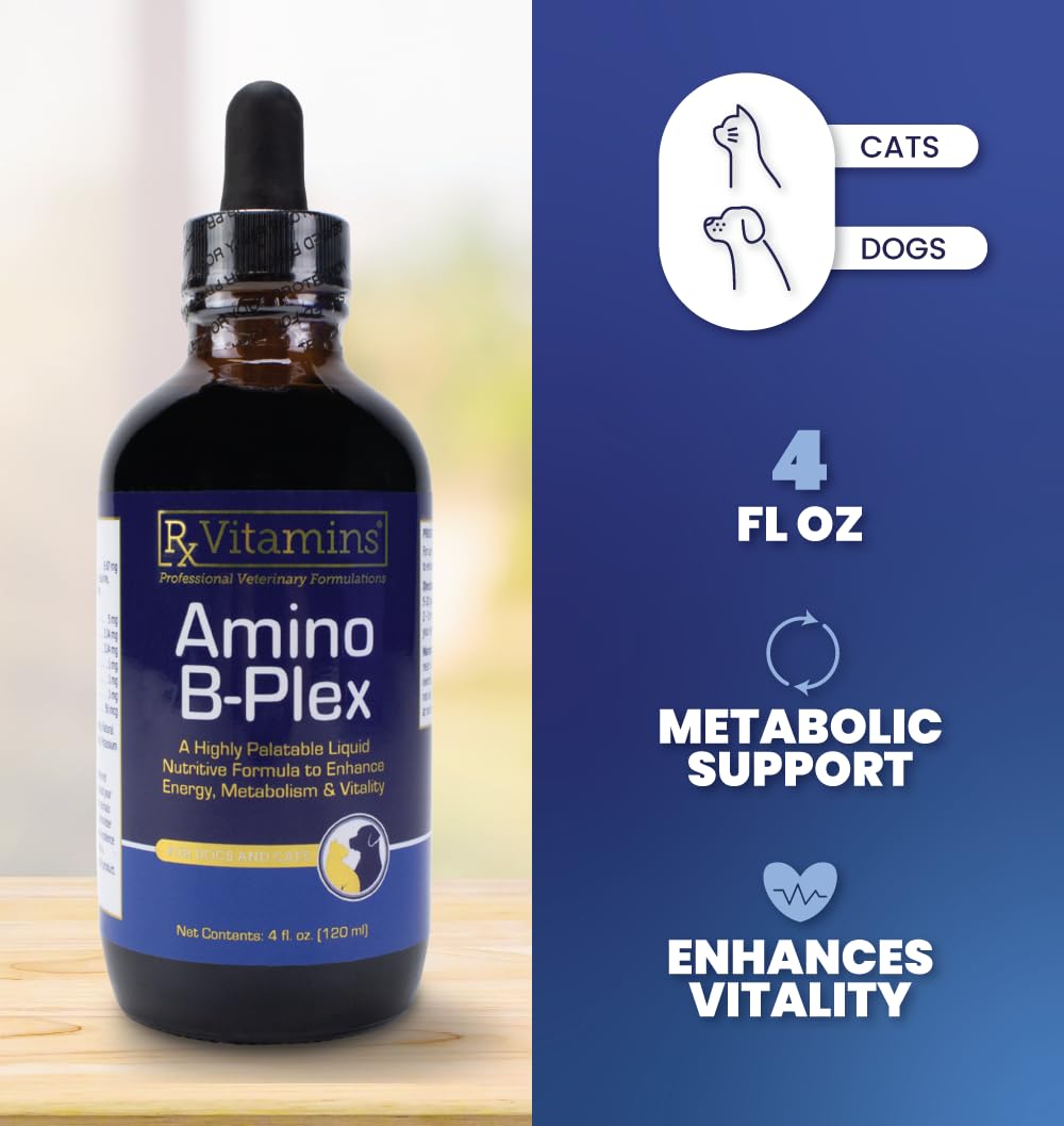Liquid Pet Supplement with Vitamin B Complex & Iron 4 fl oz V927