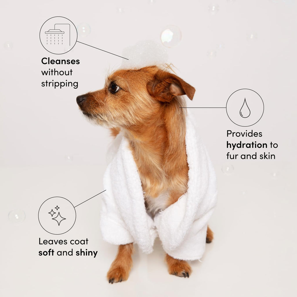 Pet Shampoo 16 Fl oz F651651