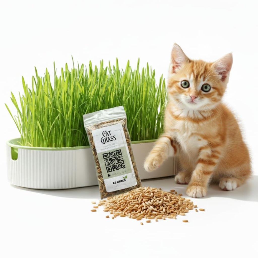 Hydroponic Cat Grass Grow Kit with 2 Oz Non-GMO Seeds C676