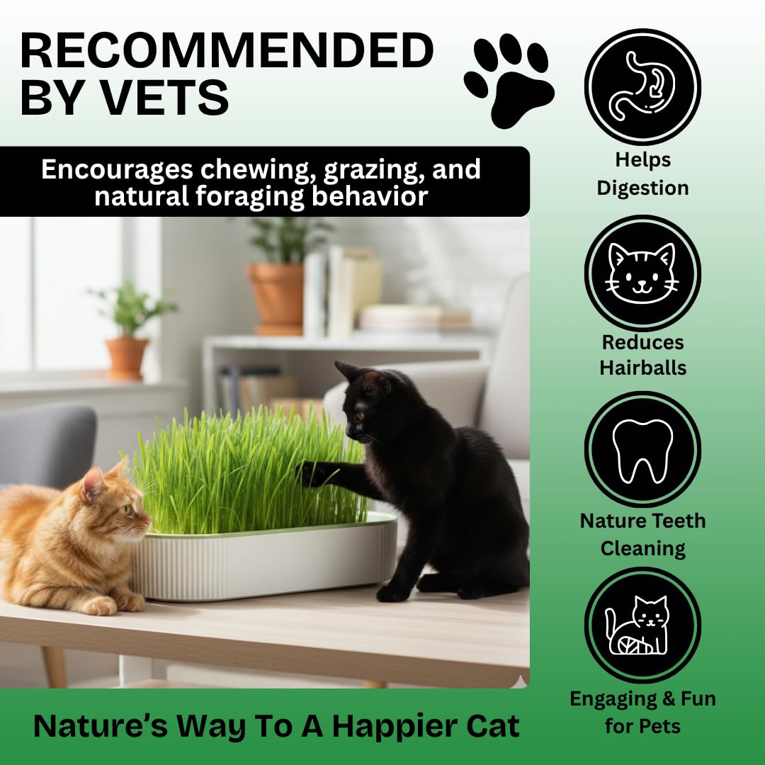 Hydroponic Cat Grass Grow Kit with 2 Oz Non-GMO Seeds C676