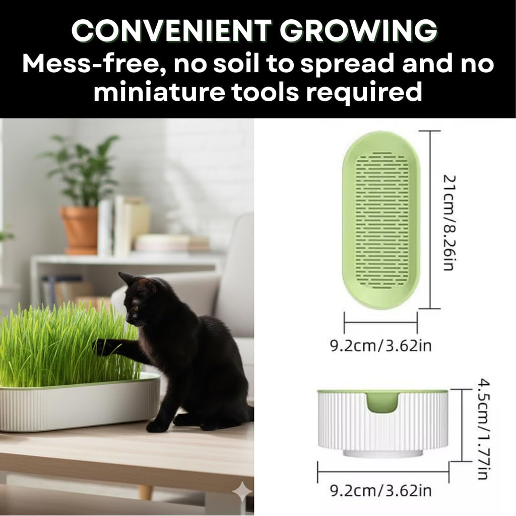 Hydroponic Cat Grass Grow Kit with 2 Oz Non-GMO Seeds C676