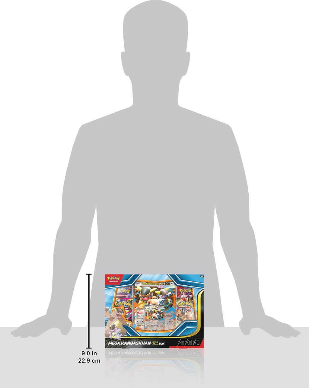 Pokémon TCG Box Y257