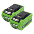 2 Pack 40V 4.0Ah Replacement Battery F573228