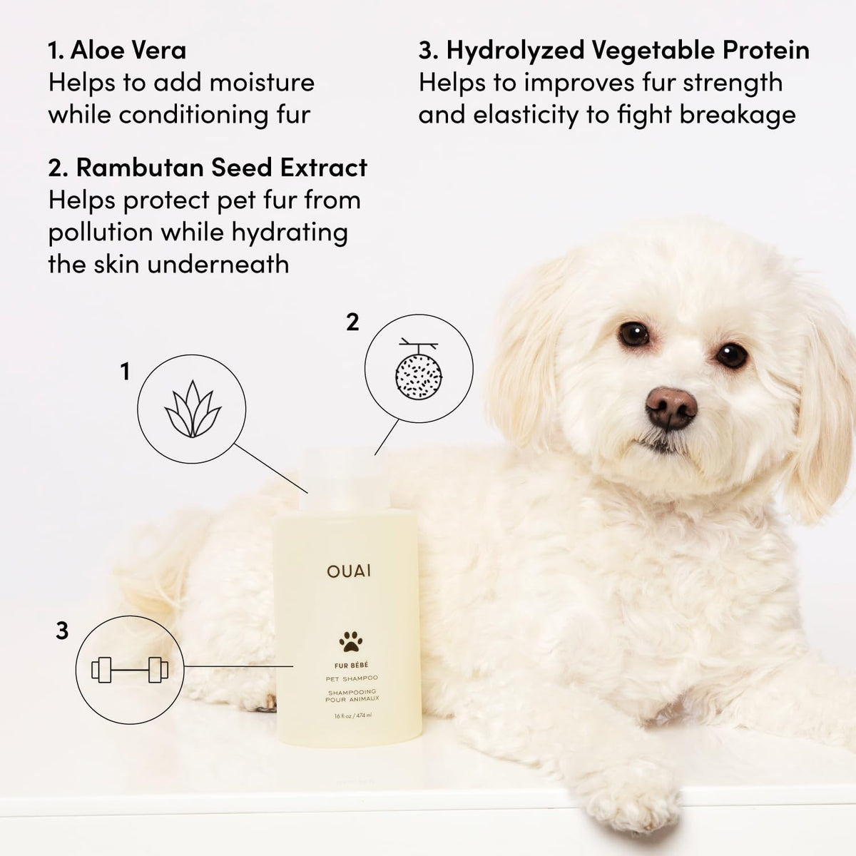 Pet Shampoo 16 Fl oz F651651