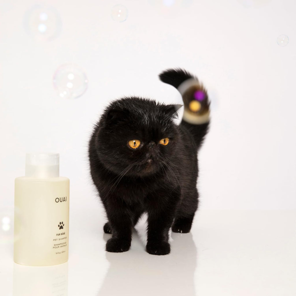 Pet Shampoo 16 Fl oz F651651