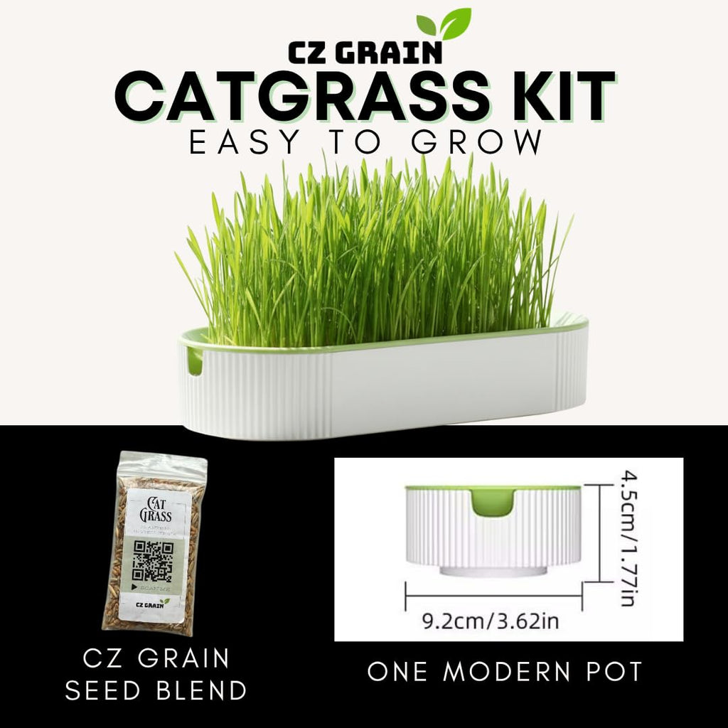 Hydroponic Cat Grass Grow Kit with 2 Oz Non-GMO Seeds C676
