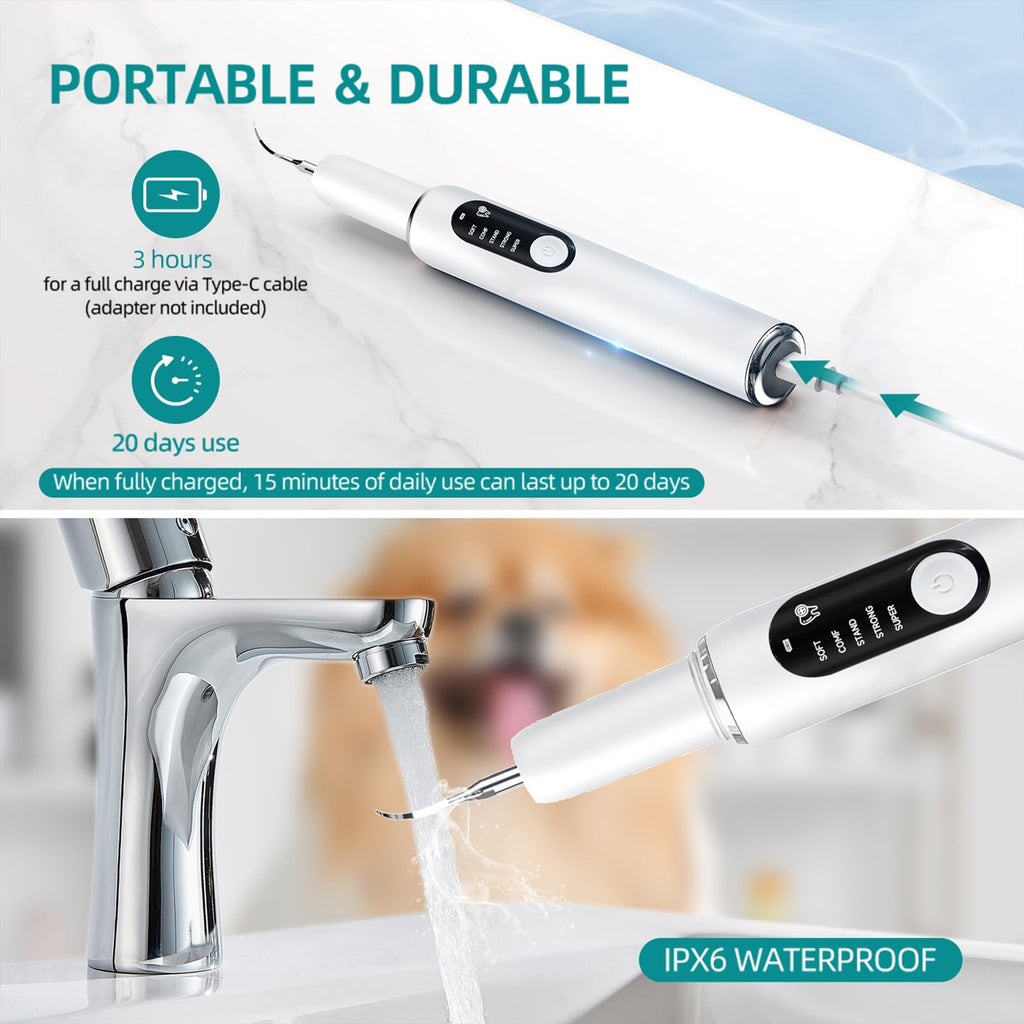 Dog Teeth Cleaning Kit with LED Light 5 Adjustable Modes Electric Toothbrush I564