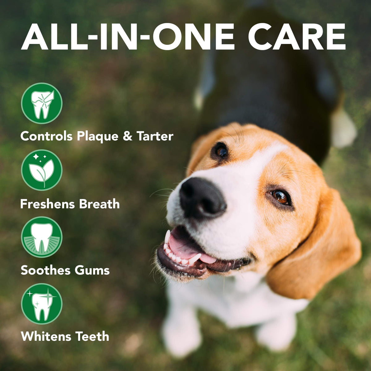 Cat & Dog Dental Powder 192 Servings + Dog Toothbrush & Toothpaste Kit X6287