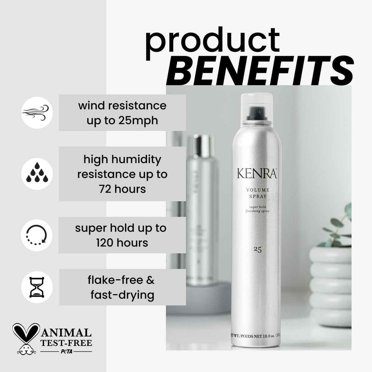 10 oz 2-Pack Hairspray O220