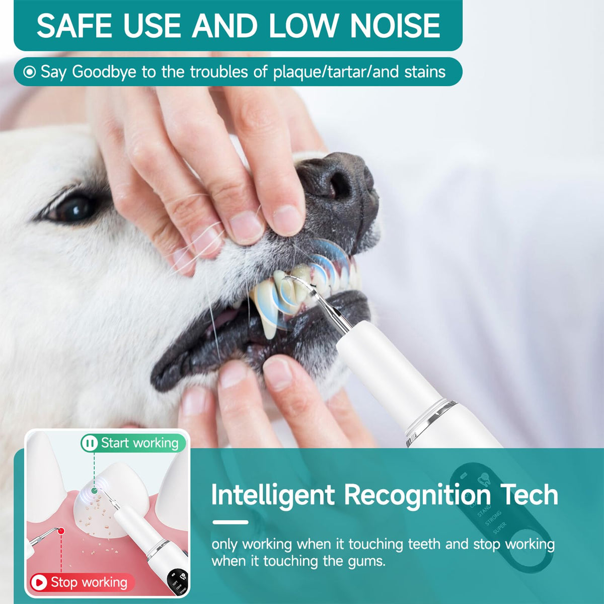Dog Teeth Cleaning Kit with LED Light 5 Adjustable Modes Electric Toothbrush I564