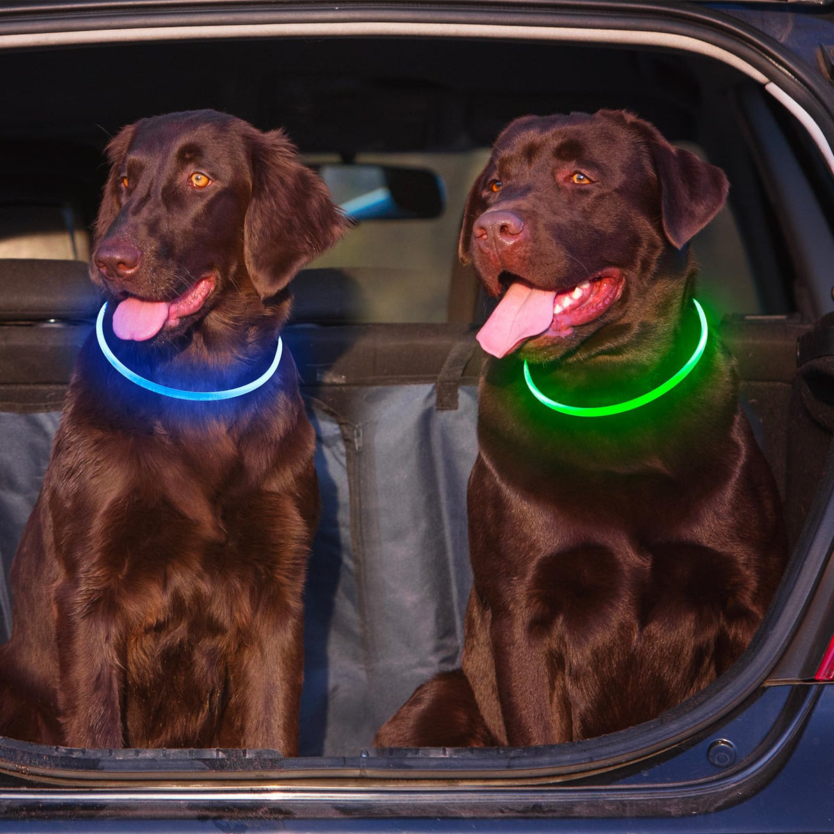 2 Packs Light Up Dog Collar V12626