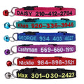 Nylon Cat Collar with Bell Q238825