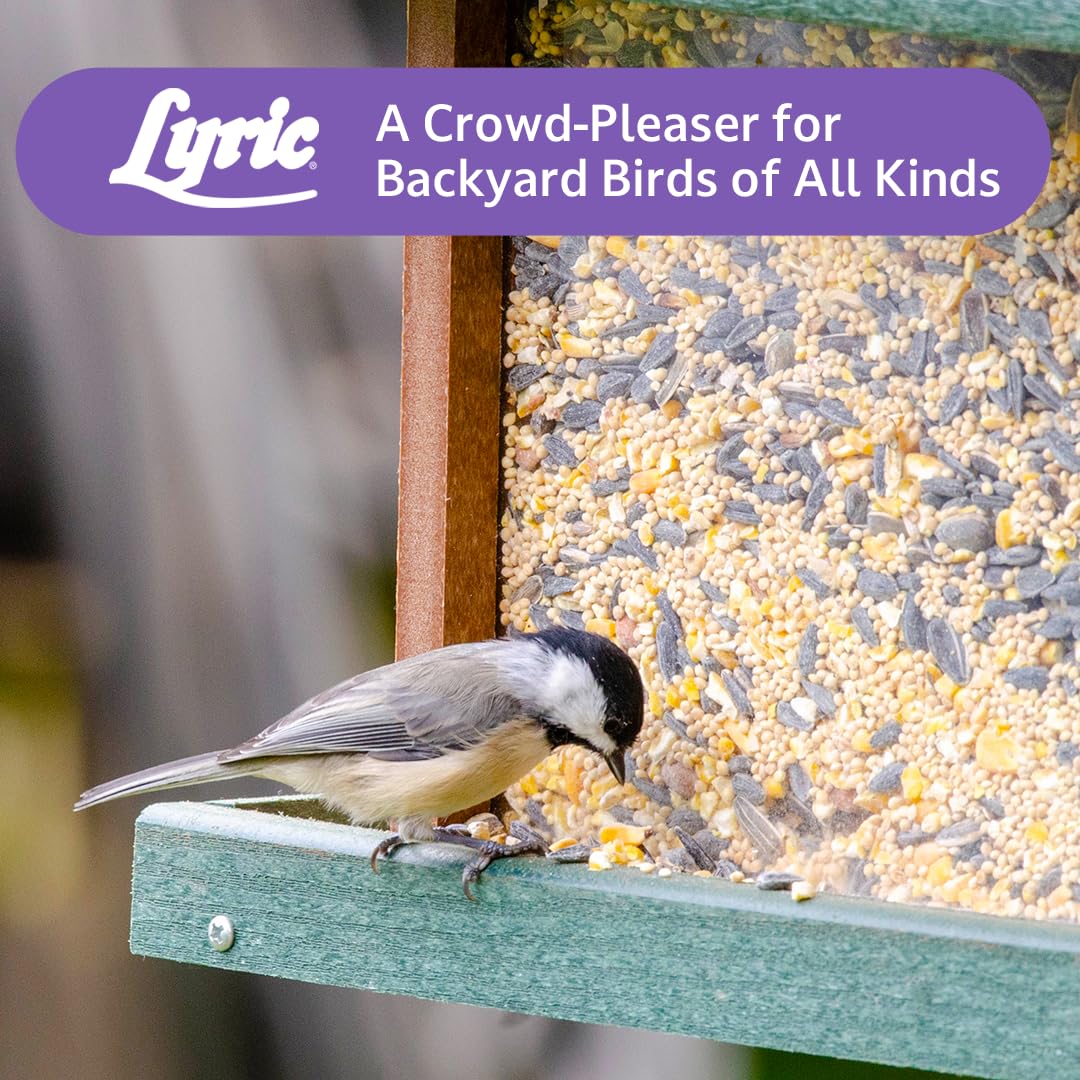 Wild Bird Seed Mix 20 lb Bag T954571