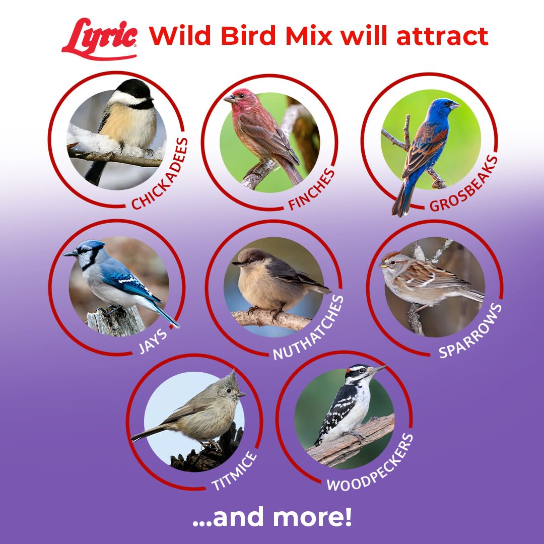 Wild Bird Seed Mix 20 lb Bag T954571