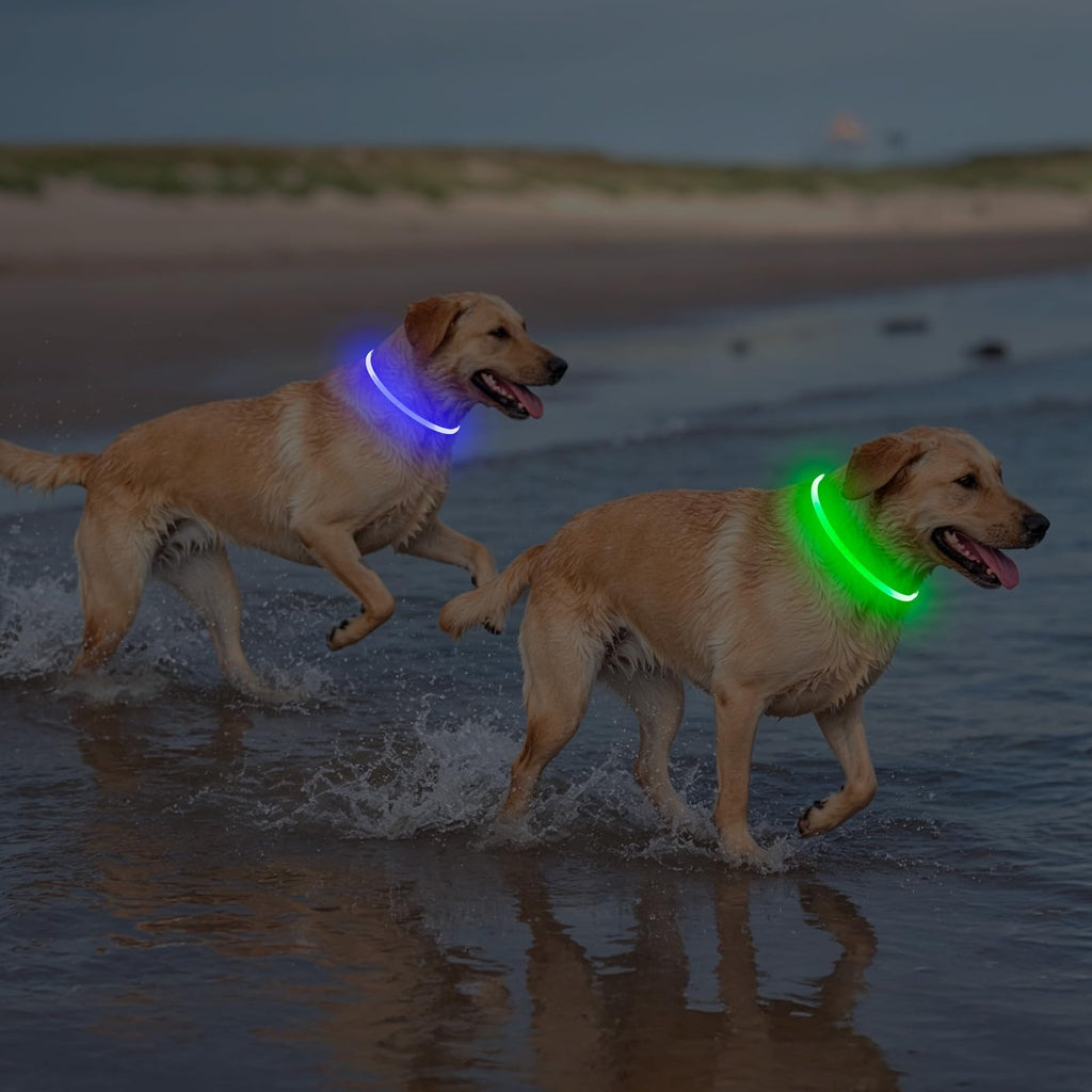 2 Packs Light Up Dog Collar V12626