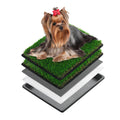 Extra Small Dog Grass Pee Pads with Tray F4768