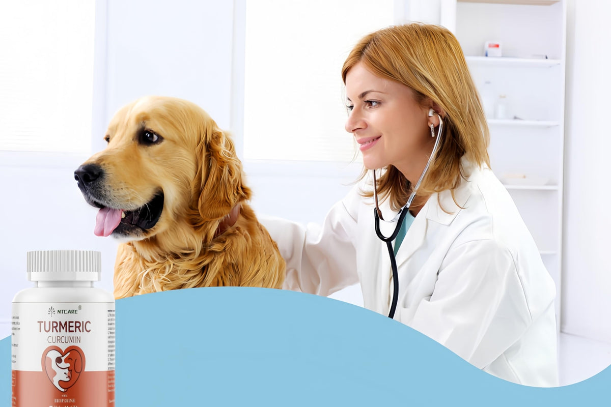 120 Chewable Tablets Turmeric Curcumin Dog Joint Support K3615