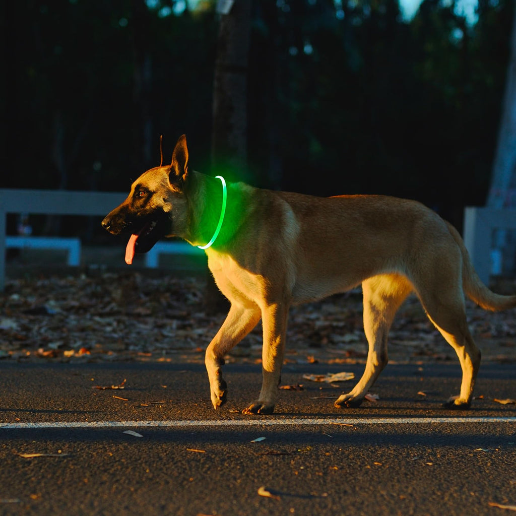 2 Packs Light Up Dog Collar V12626