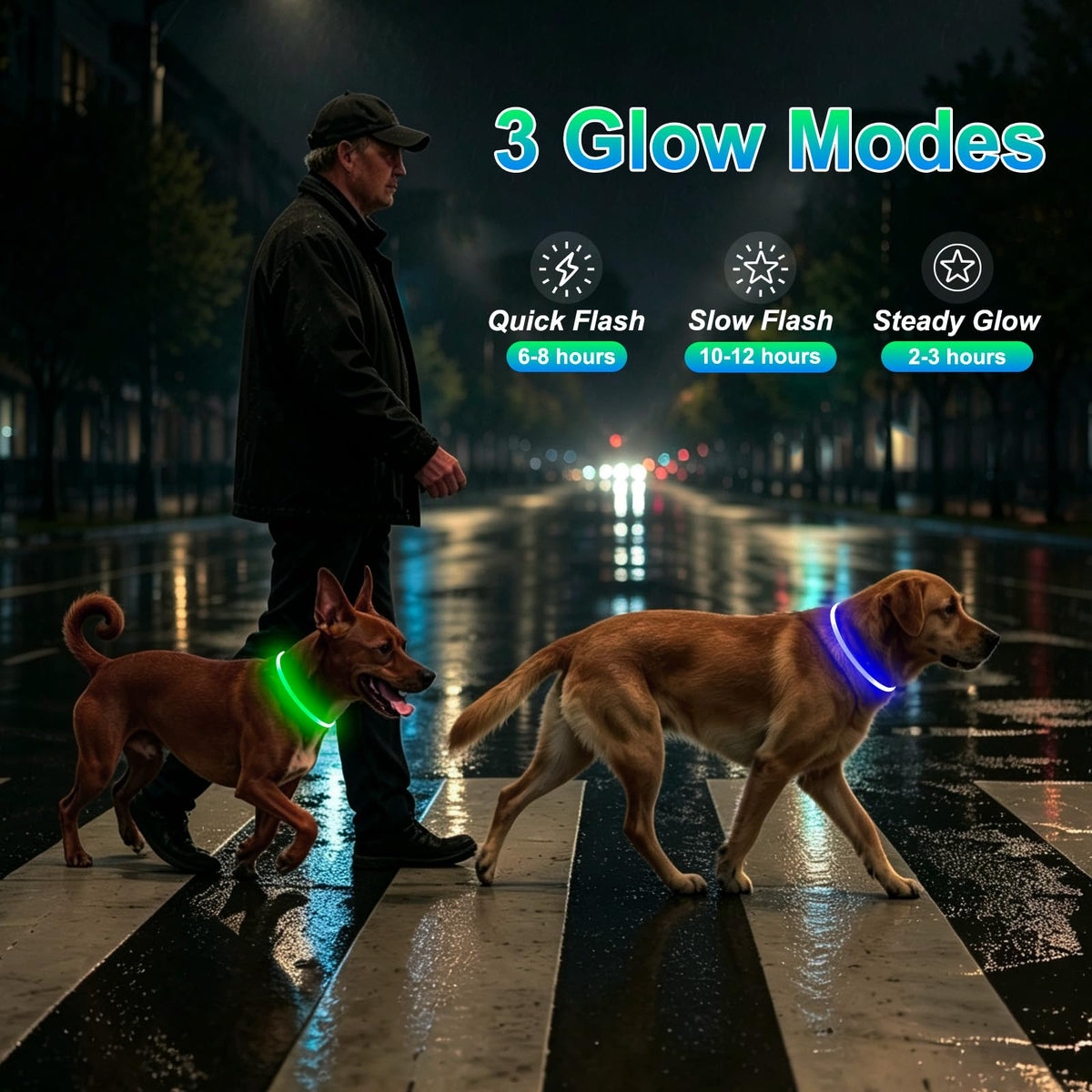 2 Packs Light Up Dog Collar V12626