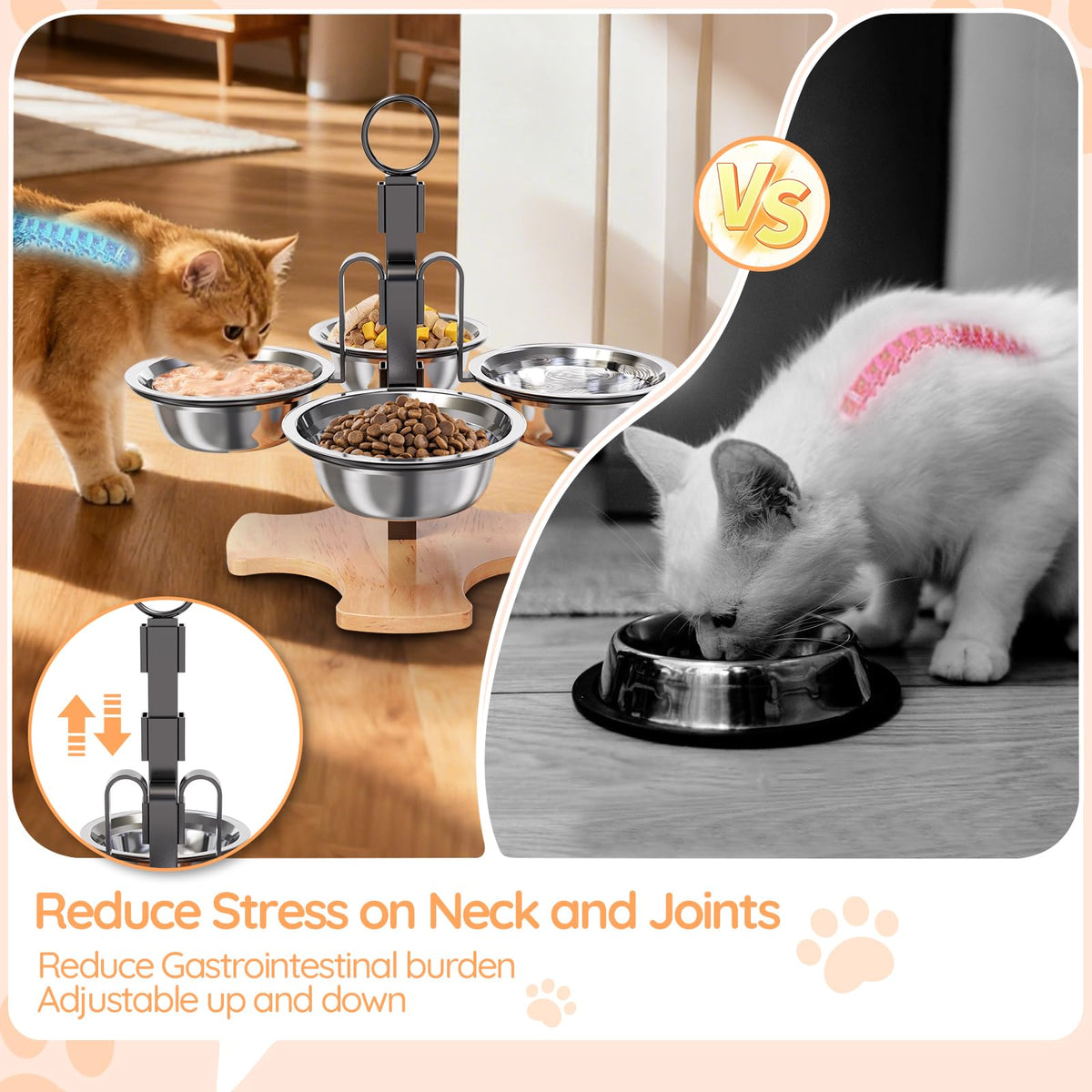 Elevated Cat Bowls with Stand F65681