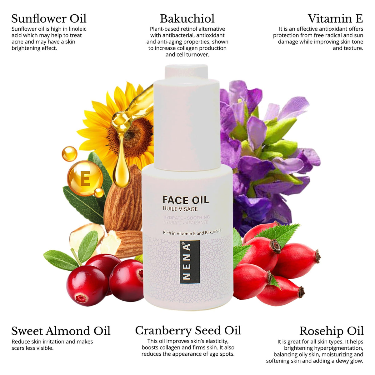 Bakuchiol and Vitamin E Face Oil 1 oz Y305382