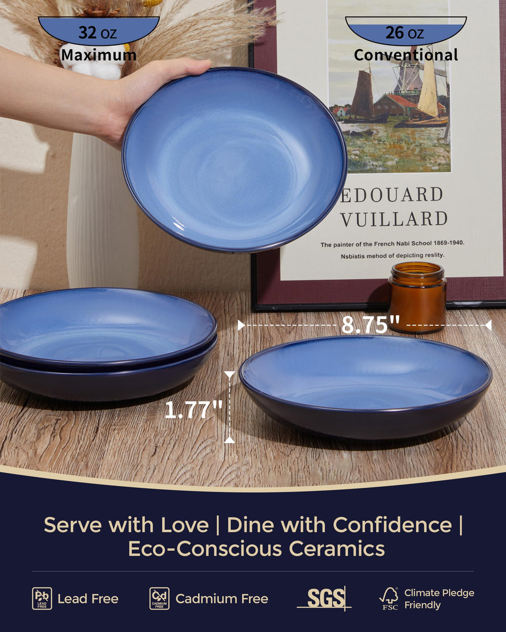 8.75'' Ceramic Pasta Bowls Set of 4 Q546