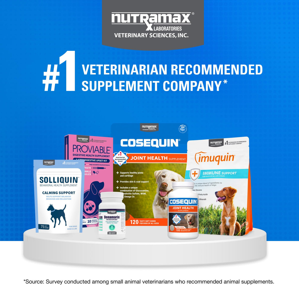 Dog Joint Supplement Soft Chews 60ct Q828399