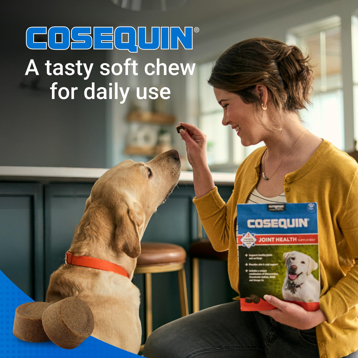 Dog Joint Supplement Soft Chews 60ct Q828399