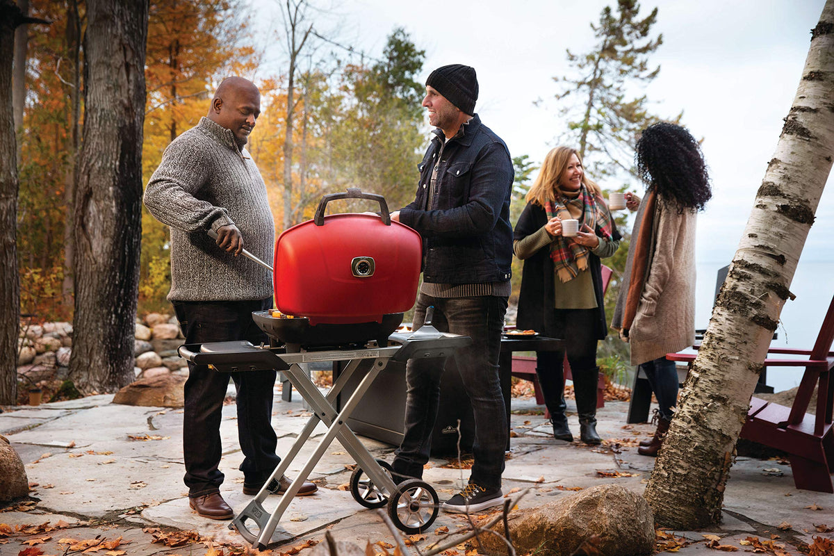 Portable Propane Gas Grill with Griddle, Red, 2 Burners O70981