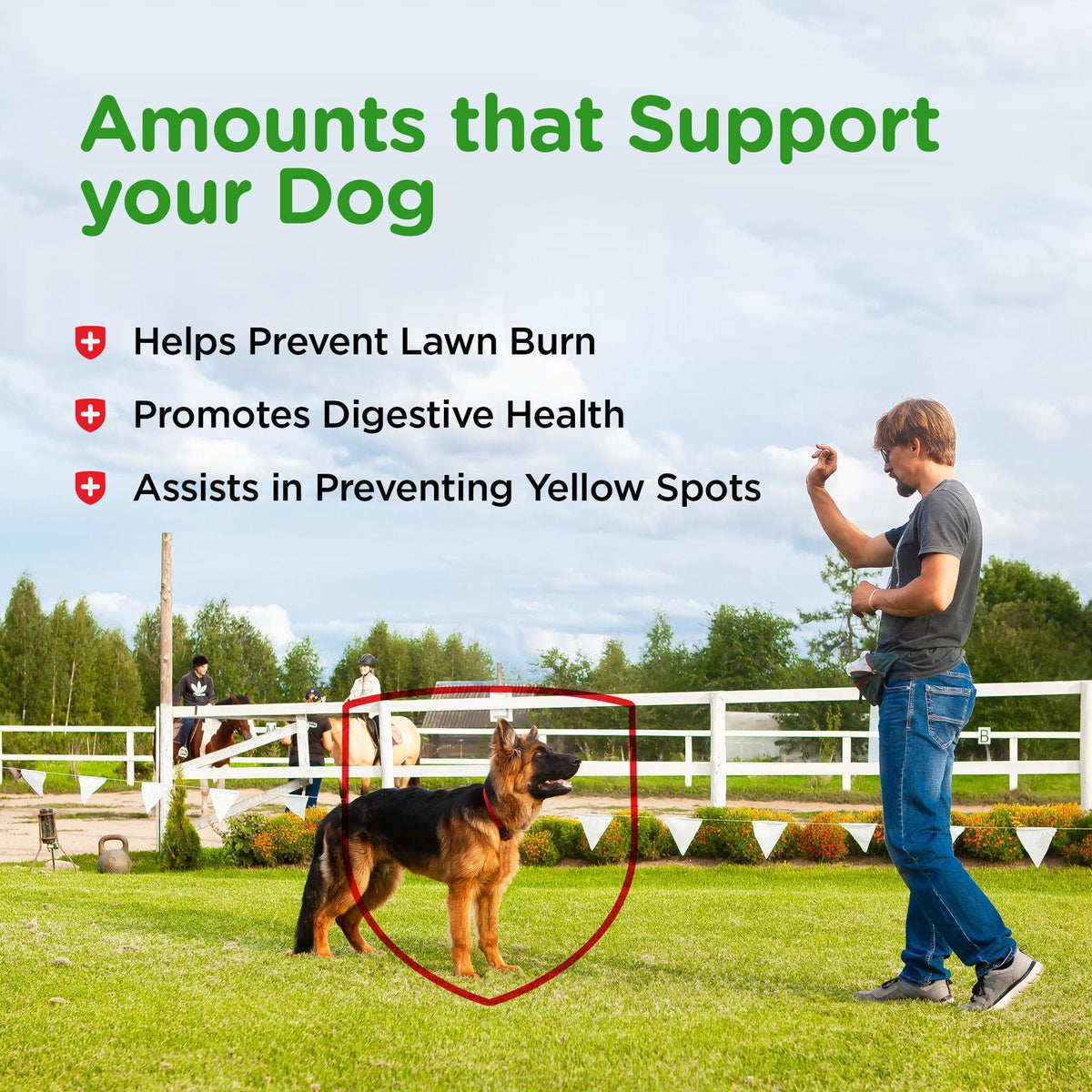 Dog Urine Support Chewables 365 Count O37636